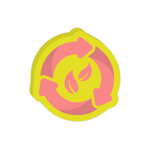 Professional Content Writer